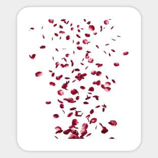 rose petals Sticker